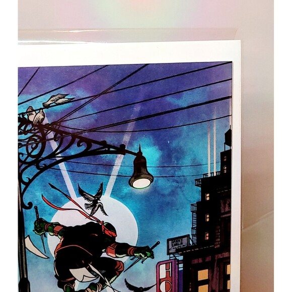 TEENAGE MUTANT NINJA TURTLES 2024 #1 1:25 Ratio Variant Danny Earls High Grade - Picture 4 of 5